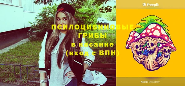ECSTASY Алексин