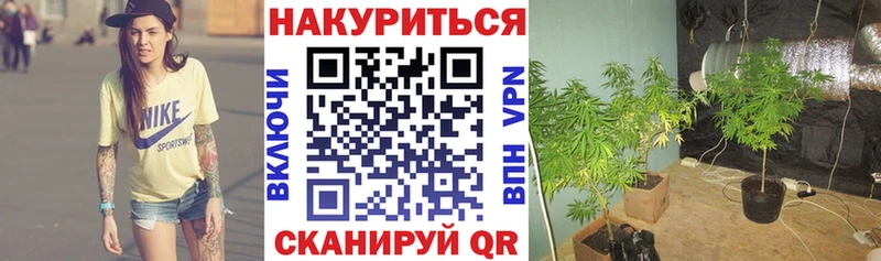 Канабис SATIVA & INDICA Феодосия